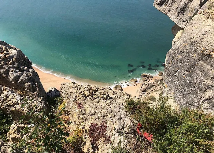 Dani's House - * Nazaré